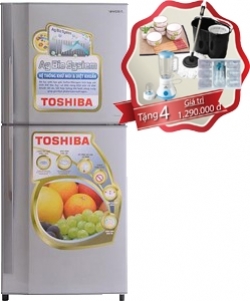 Tủ lạnh Toshiba 171 lít GR-S19VPP(DS)