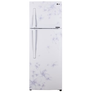 Tủ lạnh LG Inverter 255 lít GN-L275BF